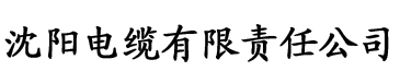 理论片在线播放视频电缆厂logo